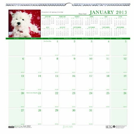 Earthscapes Puppies Wall Calendar - House of Doolittle Earthscapes Puppy Wall Calendar 12 Months January 2013 to December 2013 12 x 12 Inches Photo Recycled, Full C
