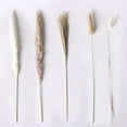 thumbnail image 3 of 80PCS Natural Pampas Grass Bouquet | Boho & Western Wedding Decor Flowers Dried Pampas Grass Decor for Elegant Floral Arrangements, Home & Table Decorations A, 3 of 9