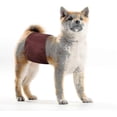 thumbnail image 4 of 3 Pack Washable Male Dog Diapers, Reusable Belly Bands for Incontinence & Marking, Adjustable Leak-Proof Design, 4 of 5