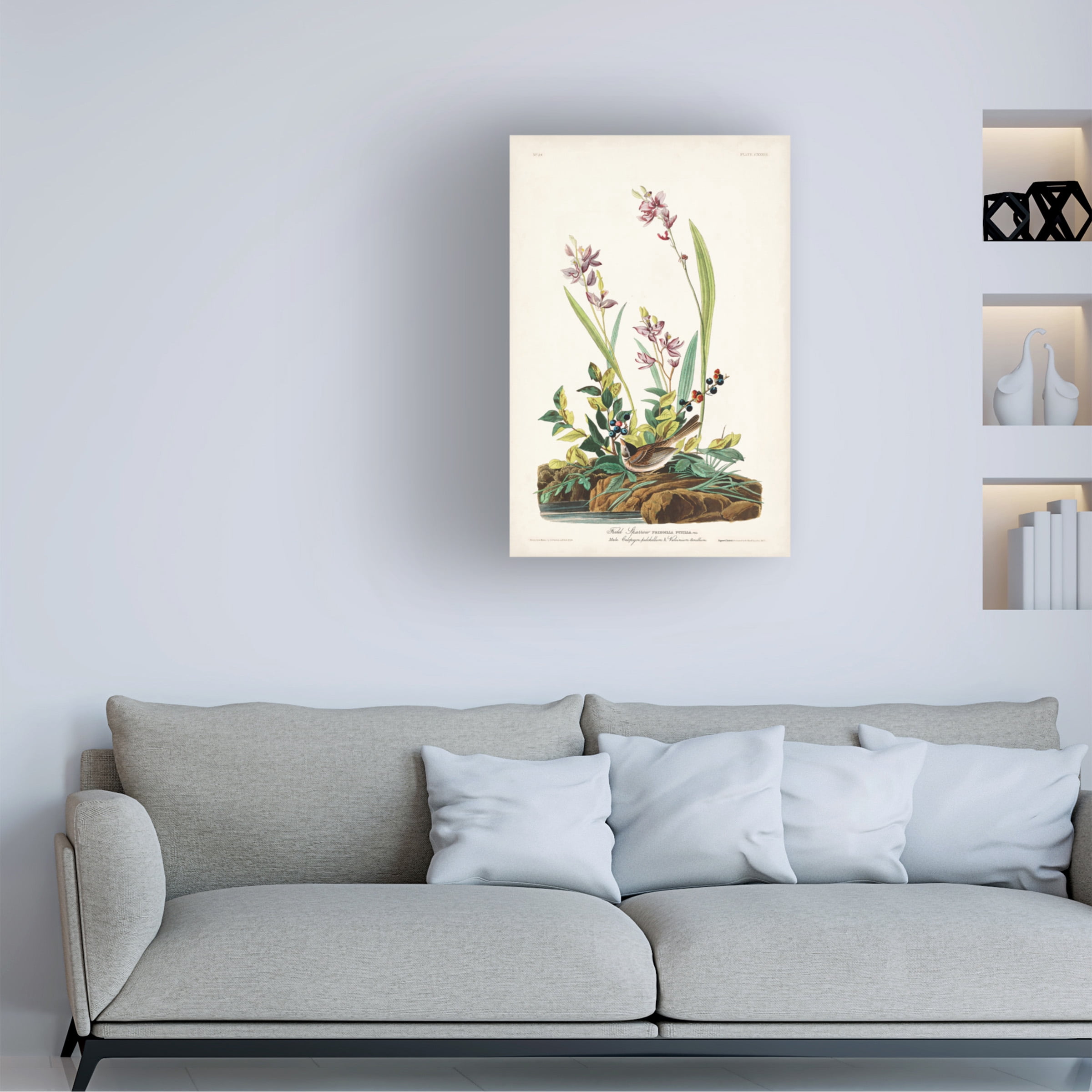 John James Audubon 'Field Sparrow' Canvas Art