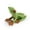 A, variant on YIFAEUX Tree Frog Figurine Realistic Toad Statue Sculpture Ornament Decoration Kids Educational Simulation Wild Animal Model Toy Toddlers Boys Girls Gift
