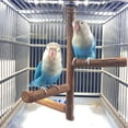 Image showcasing Bird Perch Natural Wood Stand Parakeet Bird Cage Perches Accessories ...