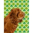 thumbnail image 1 of Carolines Treasures SS4441CHF Spaniel St. Patricks Jour Shamrock Portrait Drapeau Toile Maison Taille, 1 of 4