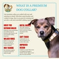 thumbnail image 5 of Country Brook Petz® Premium Pink Lemonade Dog Collar, Extra Large, 5 of 7