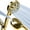 Egyptian Gold, variant on SparkPod 10-Mode Handheld Shower Head with Hose, 5" High Pressure Showerhead (Polished Chrome)