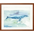 thumbnail image 2 of Sea Life VI, Framed Art Print Wall Art by Lisa Audit Sold by Art.Com, 2 of 5
