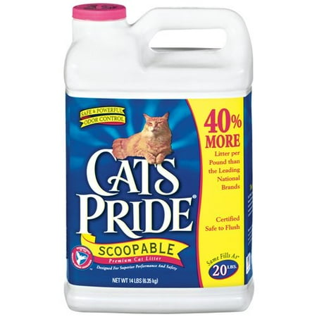 Scoopable Cat Litter Brands Scoopable Cat Litter Brands