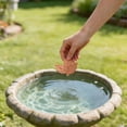 thumbnail image 4 of Bird Bath Plate Decorative Purification Plate with Support Points Natural All Weather Water Suitable for Outdoor Bird Bath Tubs and Bowls Multiple Choices, 4 of 4