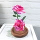 thumbnail image 4 of Xihbxyly Rosa Romántica de Cristal, Vidrio de Borosilicato Alto, Luces Led Alimentadas Por Usb, Base de Madera de Pino, Decoración para Bodas, Regalo Festivo, Ambiente Elegante, Tamaño 5.71X5.71X9.06, 4 of 5
