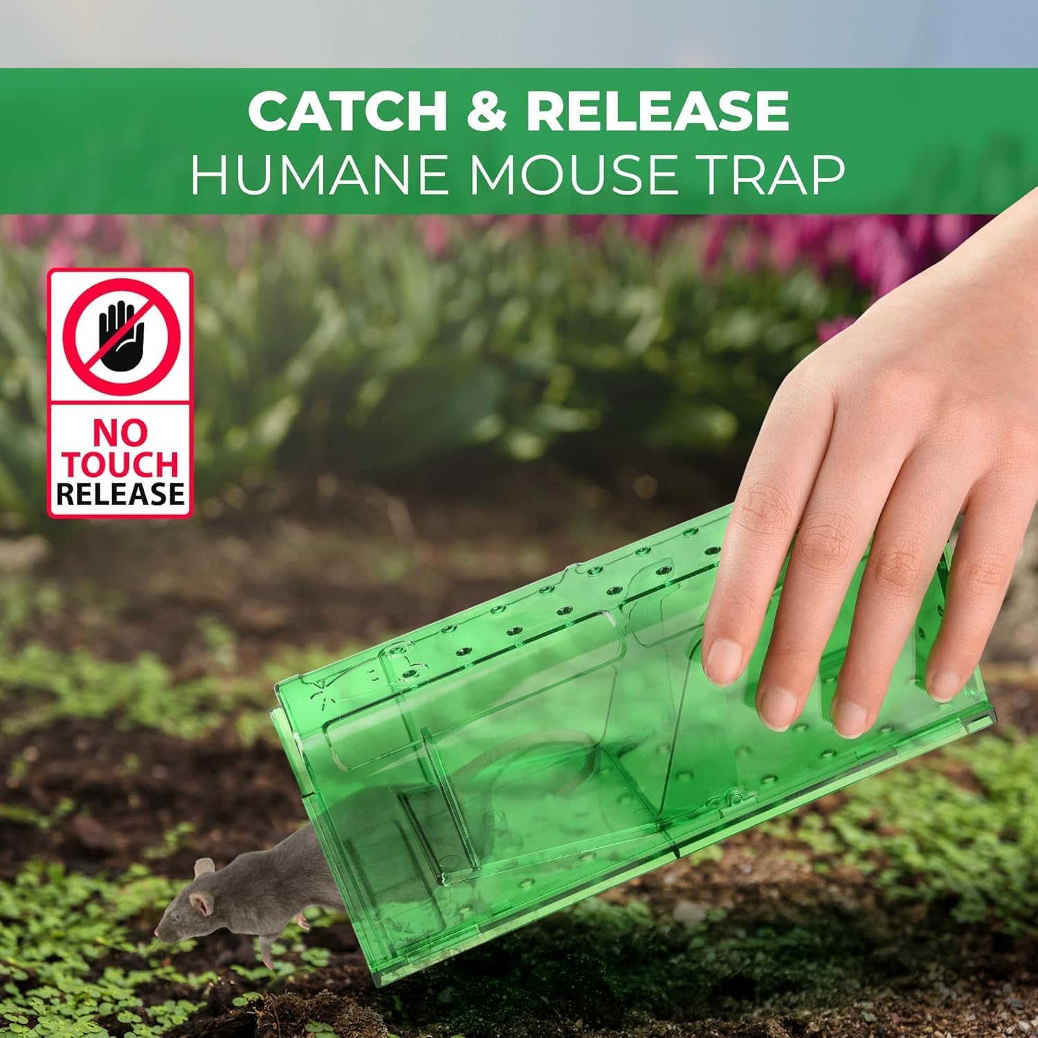 Teal Elite Humane Mouse Trap Catch & Release, 2-Pack photo 8