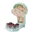 thumbnail image 1 of cherry Seed Pitter Olive Cherry Pitter Tool Multiple Olive Stone Cherry Pitter Core Seed Remover Tool, 1 of 4