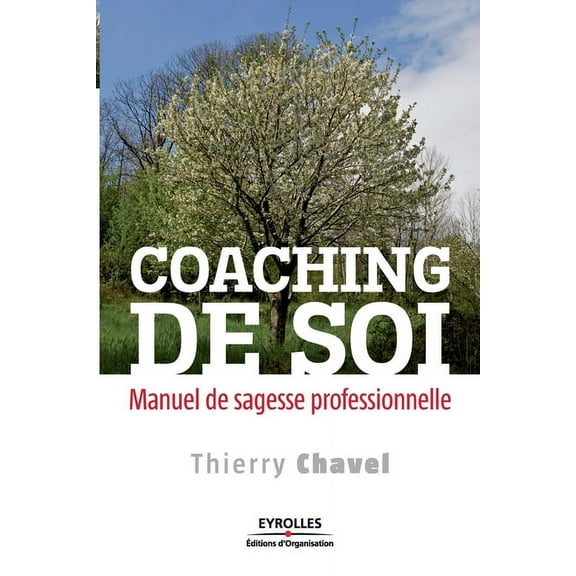 Coaching de soi : Manuel de sagesse professionnelle (Paperback)