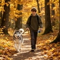 thumbnail image 6 of Retractable Dog Leash – Extendable up to 16.4 FT, Heavy Duty Nylon Tape, No-Tangle, One-Handed Brake & Lock, for Small to X-Large Dogs up to 110 lbs (Gray), 6 of 6