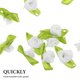 thumbnail image 3 of unbranded 500Ud Pequeñas Flores De Para Invitaciones Y Adornos De Manualidades Creativas, 3 of 6