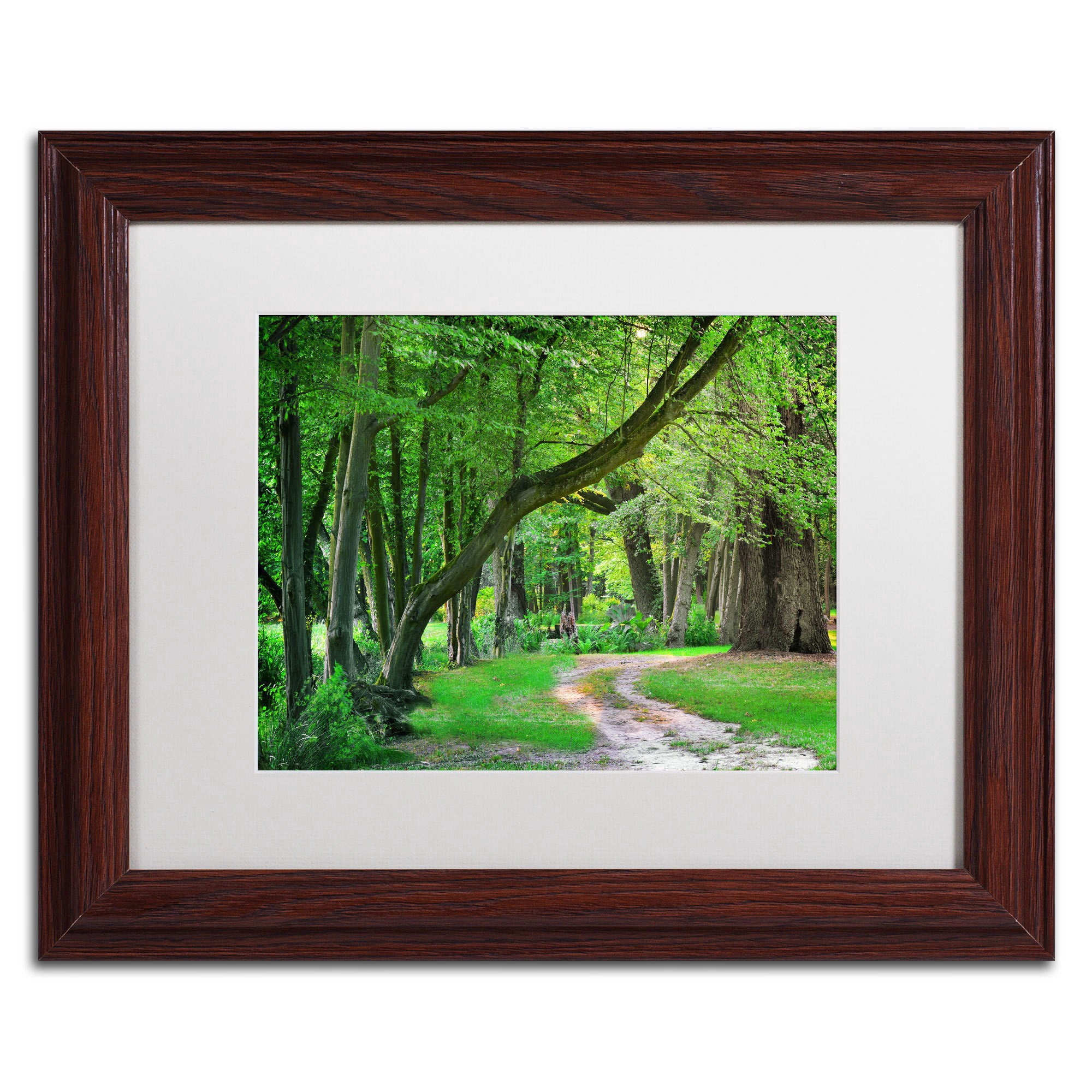 Trademark Fine Art "Intimate Landscape" Canvas Art by Philippe Sainte-Laudy, White Matte, Wood Frame