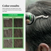 Just For Men Shampoo-In Color (Formerly Original Formula), Mens Hair Color with Keratin and Vitamin E for Stronger Hair - Dark Brown, H-45, Pack of 1