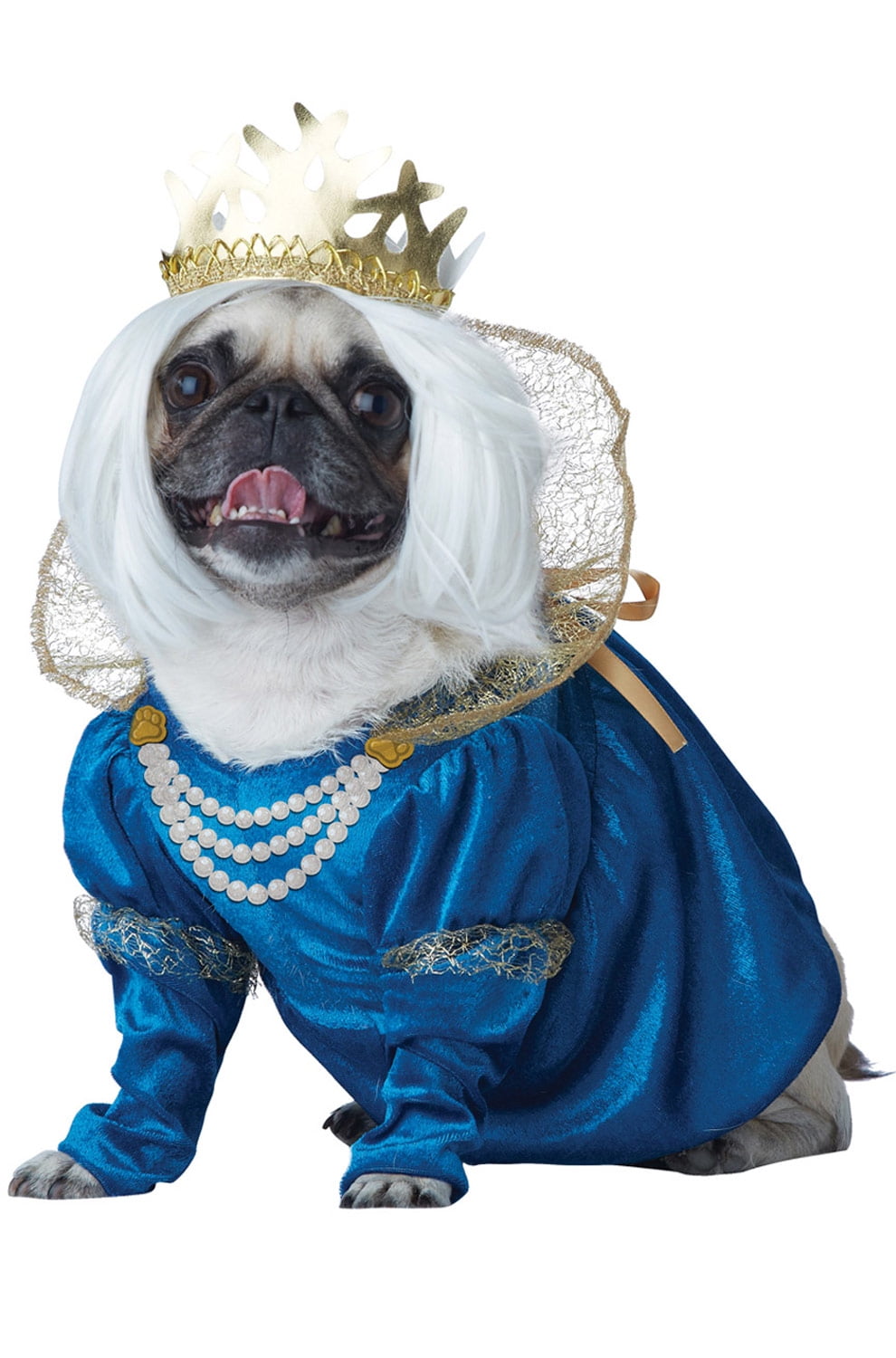 Queen of Bones Dog Costume