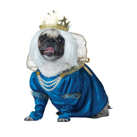 Queen of Bones Dog Costume