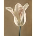thumbnail image 2 of Amy Melious 26x32 White Modern Wood Framed Wall Art Titled - Lumiere Tulip I, 2 of 5