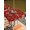Deep Red White Light Yellow, variant on Outdoor Tablecloth with Umbrella Hole and Zipper, Christmas Yellow Snowflake Rectangle Table Cloth 52x70 Inch Waterproof Tablecloth, Winter Xmas Retro Beige Picnic Table Cover for Patio Camping