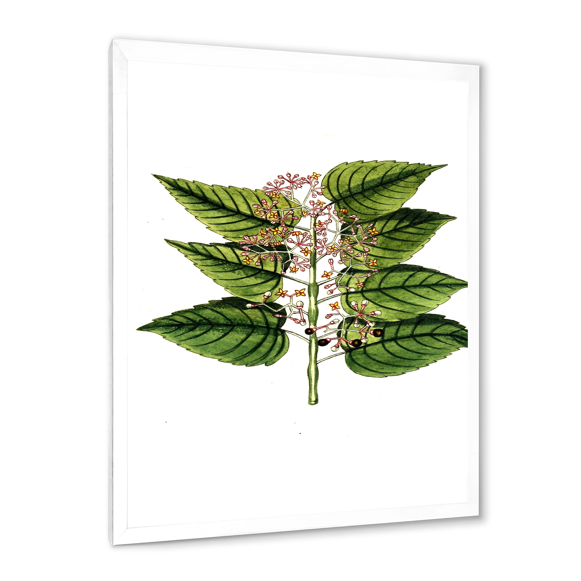 Designart 'Ancient Plant Life XXVI' Traditional Framed Art Print
