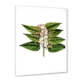 thumbnail image 2 of Designart 'Ancient Plant Life XXVI' Traditional Framed Art Print, 2 of 4