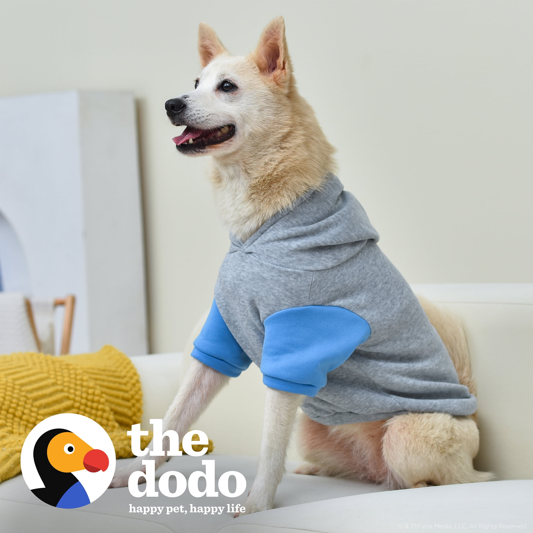 The Dodo Grey & Blue Dog Hoodie - Large