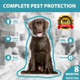 thumbnail image 3 of Collar contra pulgas y garrapatas para perros, tratamiento y prevención de pulgas y garrapatas para perros de hasta 8 meses, talla única, ingredientes naturales, resistente al agua, incluye, 3 of 4