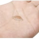 thumbnail image 5 of Piercing para la nariz en forma de L de acero inoxidable de 20 g, 1,5 mm, 2 mm, 2,5 mm, 3 mm, 8 unidades, 3 colores, 5 of 6