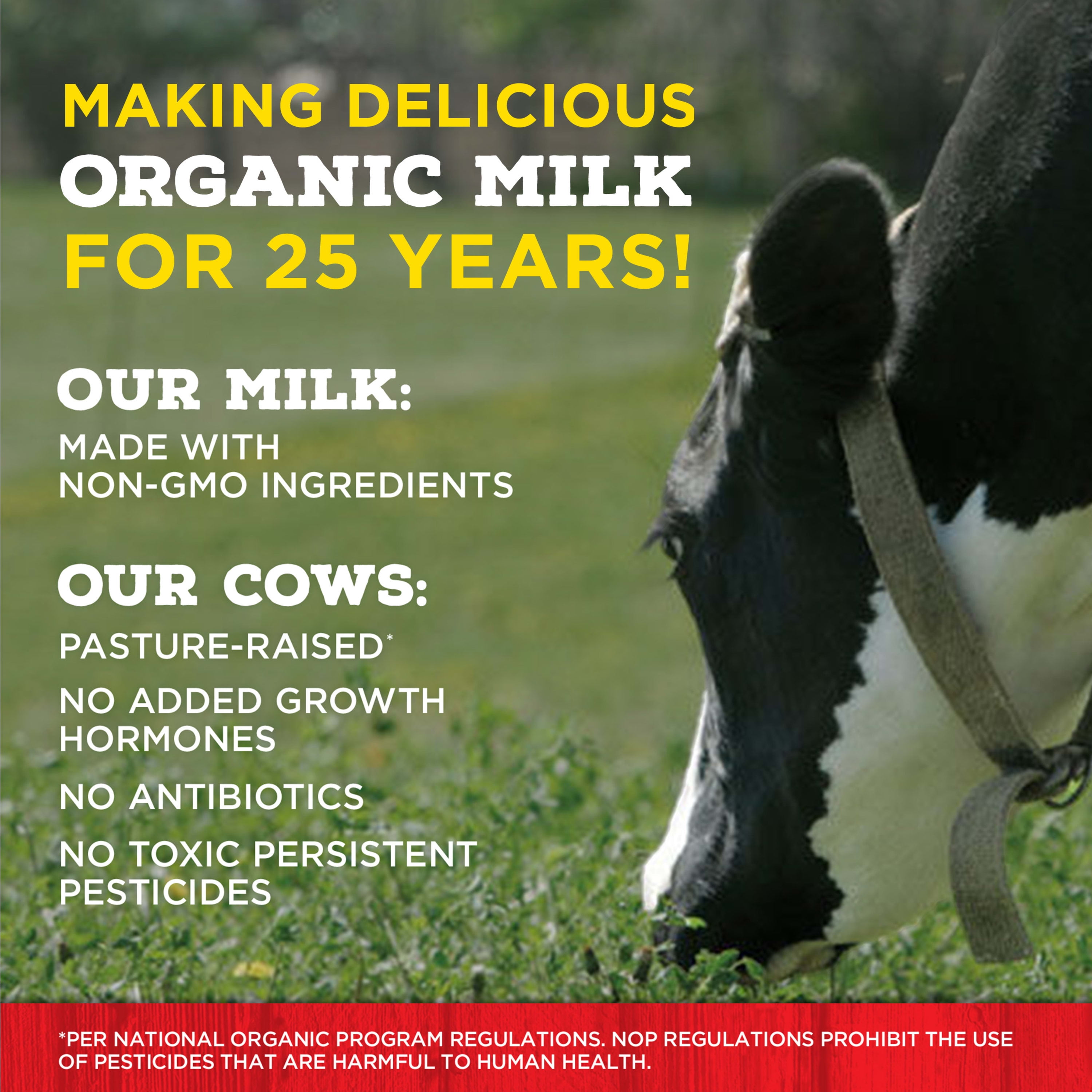 Horizon Organic Vitamin D Whole Organic Milk Half Gallon - Water