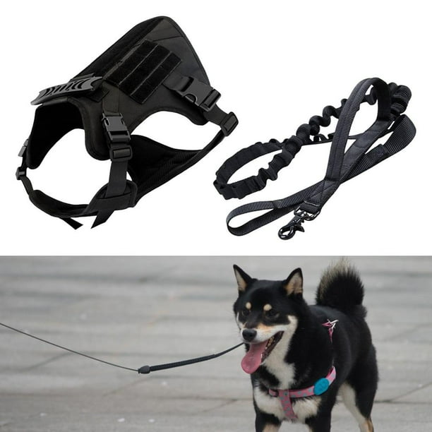 Arnés para perros Entrenamiento de fácil control Acolchado Sin tirón Servicio Arnés para perros para entrenamiento Perrde SG Colco arnés chaleco