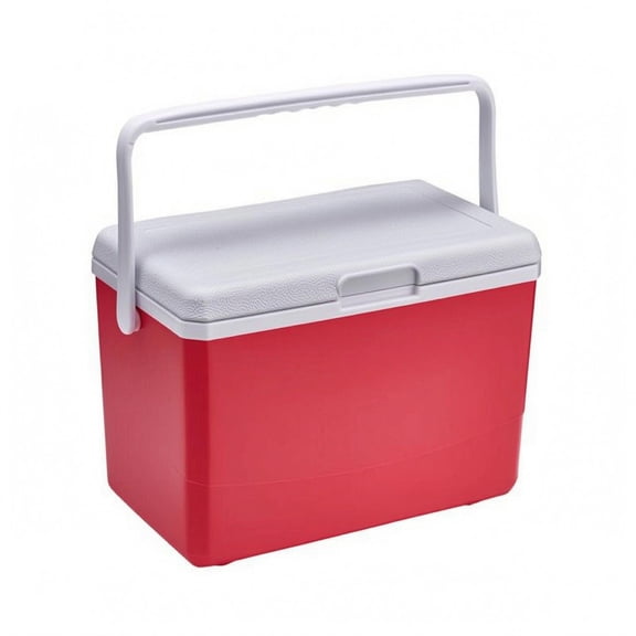 harayaa Outdoor Insulated Cooler Box Portable Hard Container with Foam Insulation Layer for Drinks Food Car Travel Camping