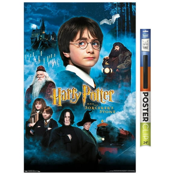 Harry Potter and the Sorcerer's Stone - Candles One Sheet Wall Poster, 22.375" x 34"