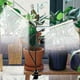 thumbnail image 3 of Grow Light,Full Spectrum White 84 LED Clip Plant Lights Indoor for Plants Growing, 4/8/12H Timer 5 Dimmable Levels, 3 of 5