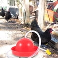 thumbnail image 4 of unbranded 1Jgo Alimentador Para Pollos De Plástico Con Práctico Y Conveniente Para Gallinas, 4 of 7