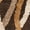 Brown/Multi, variant on SAFAVIEH Kashmir Collection KAS117B Rust / Ivory Rug