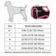 thumbnail image 4 of Super-Absorbent Washable Female Dog Diapers for Comfortable Sanitary Pant, 4 of 5