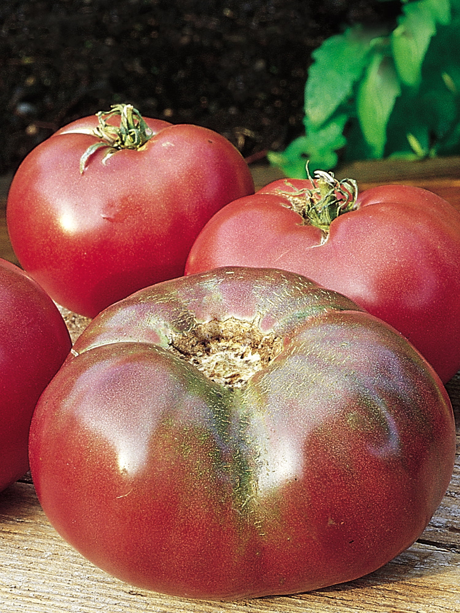 Burpee Cherokee Purple Tomato Vegetable Seed