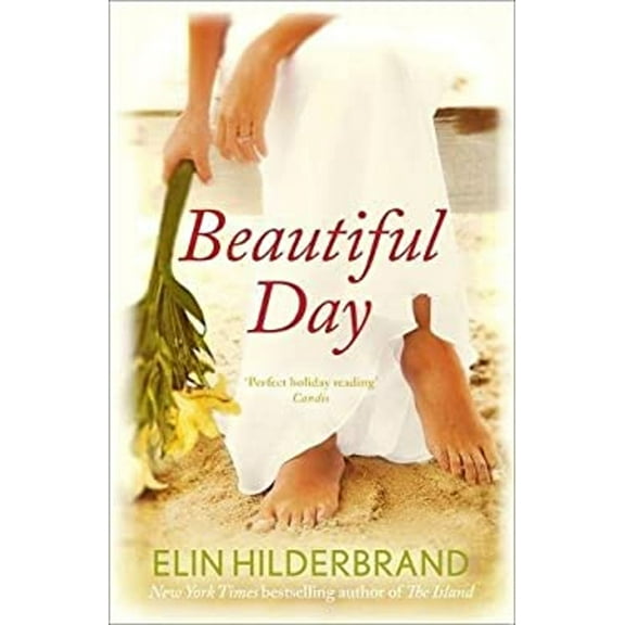 Pre-Owned Beautiful Day (Hardcover) 9781444723984