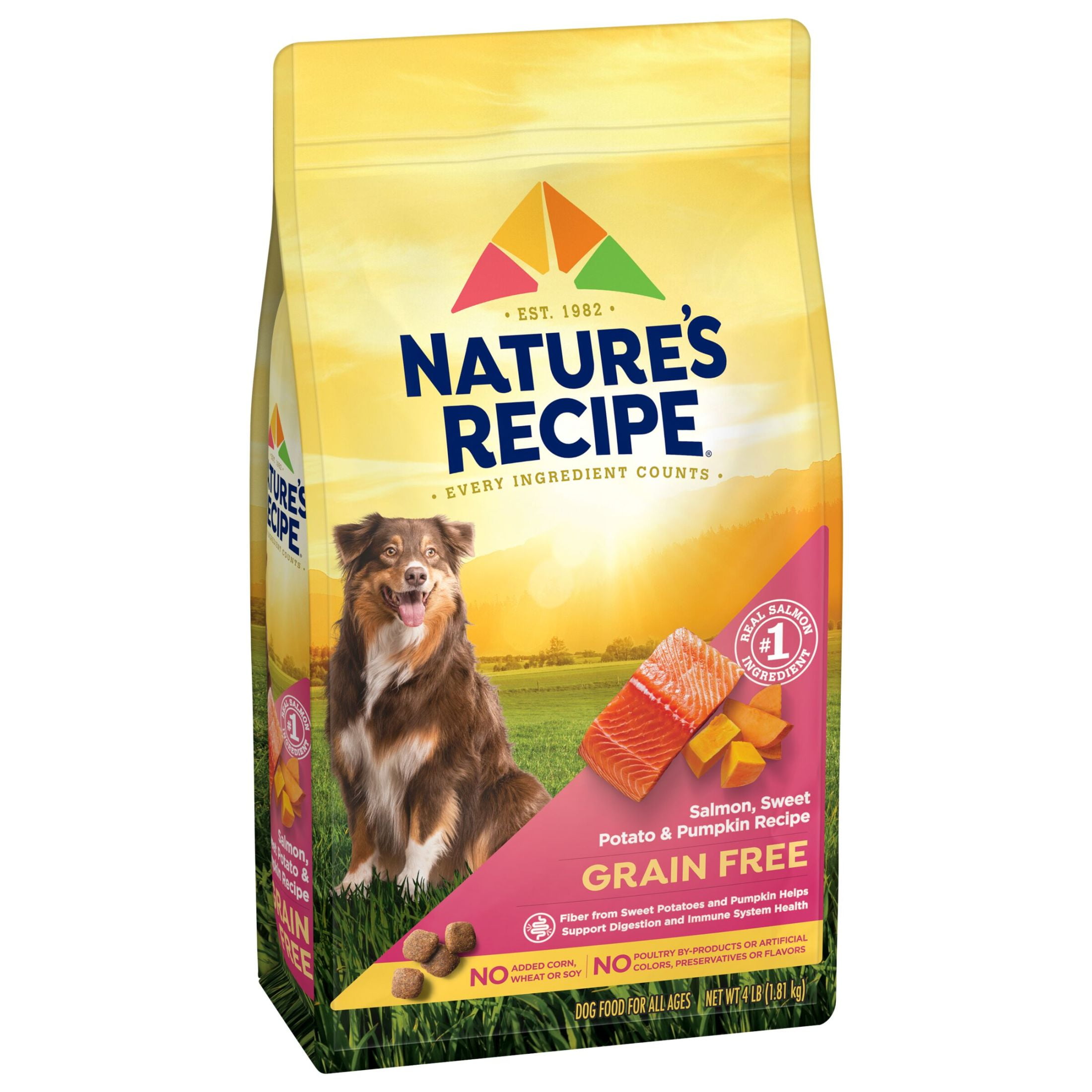 Nature s Recipe Grain Free Salmon Sweet Potato Pumpkin Recipe Dry Dog Food 24 lb. Bag Walmart