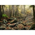 thumbnail image 3 of Head, Danny 24x18 Black Modern Framed Museum Art Print Titled - Dry Creek, 3 of 5