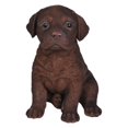 thumbnail image 1 of Border Concepts 83411 Garden Figurine, Labrador Puppy, Chocolate Polyresin, 6.5-In., 1 of 1