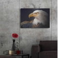 thumbnail image 7 of Luxe Metal Art 'Bald Eagle Study' by Chris Vest, Metal Wall Art, 36"x24", 7 of 7