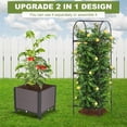 thumbnail image 3 of Slsy Raised Garden Bed Planter Box with Wheels, Tomato Cage Planter Raised Garden Bed with Trellis for Climbing Vegetables Plants Tomato Cage, Indoor Outdoor Use, 3 of 15