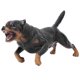 thumbnail image 1 of Kid Educational Toy Cute Dog Model Simulation Miniature Animal Home Decor, 1 of 4