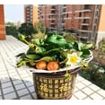 thumbnail image 3 of 8 Pack Strawberry Supports - Strawberry Plant Support with 3 Sturdy Legs - Strawberry Growing Racks Strawberry Growing Frame,Protection of Strawberry Plants from Mold, Rot and Dirt(White), 3 of 7