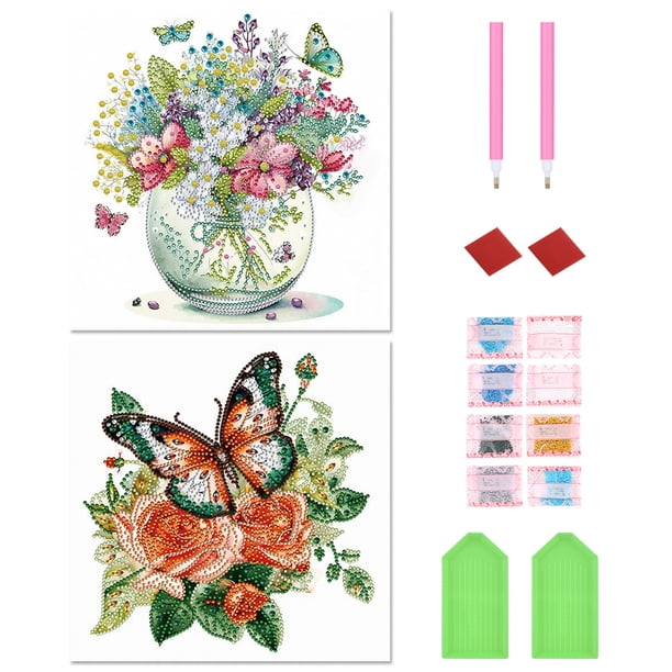 2PCS 5D DIY Parcial Especial en Forma Taladro Diamante Pintura Mariposa Kit