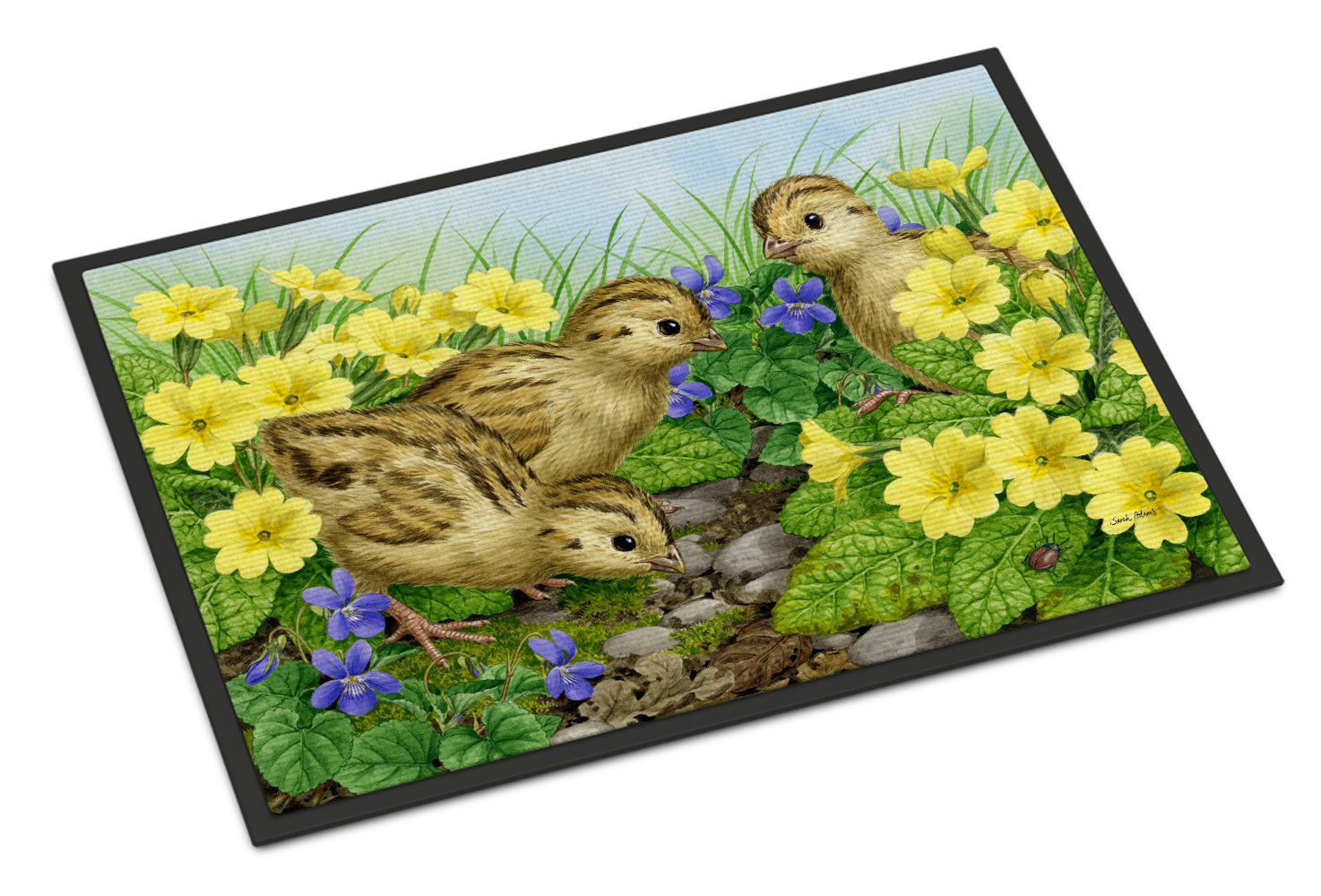 Pheasant Chicks Doormat by Caroline's Treasures