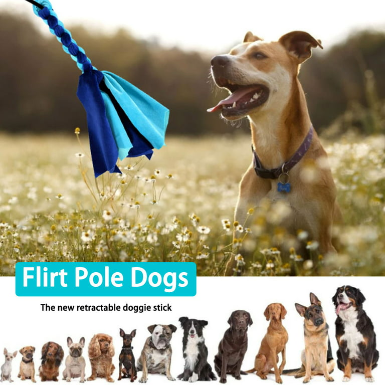 AmaCielo Flirt Pole for Dogs, Interactive Toys Tug-of-war for Dogs, Durable  Teaser Wand, Chase Toys with Rope Chewing Sticks, for Outdoor Exercise 