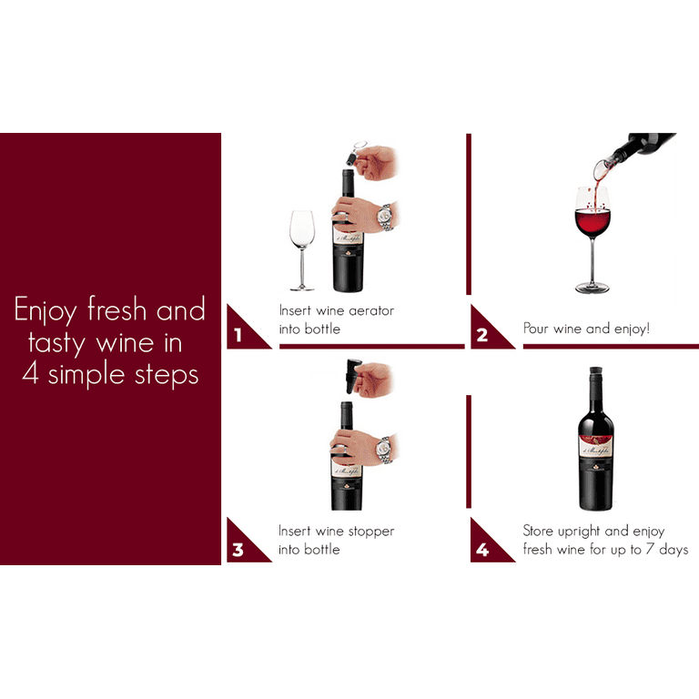 Wine Chiller Set 6-in-1 With Instant Wine Aerator Pourer -  in 2023